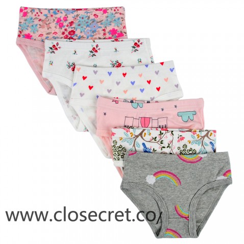 Closecret Kids Series Soft Cotton Baby Panties Little Girls' Assorted Briefs(Pack of 6)